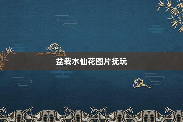 盆栽水仙花图片抚玩