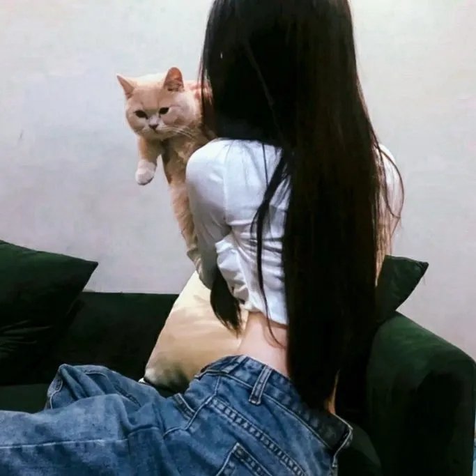 想被拥抱的12个女人 封面